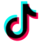 TikTok (No Watermark)
