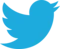 Twitter (X) Downloader